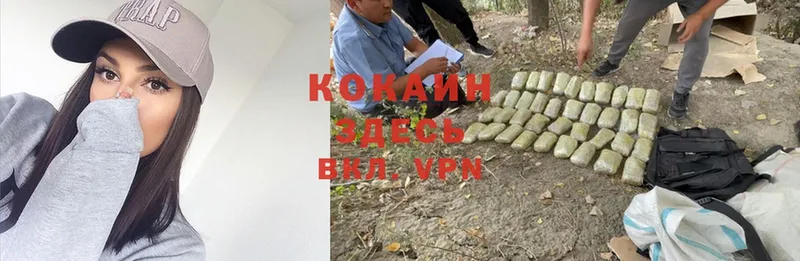 купить наркоту  Ардатов  КОКАИН VHQ 