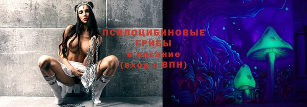 дживик Братск