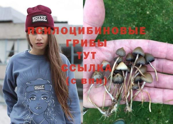 МДМА Сафоново