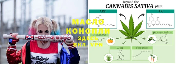 мяу мяу мука Великий Новгород