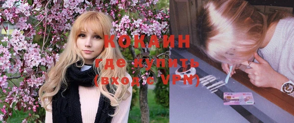 мяу мяу мука Великий Новгород