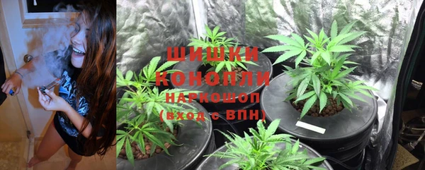 дживик Братск