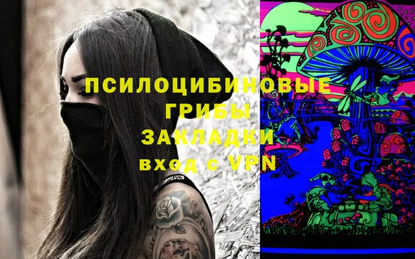 мяу мяу мука Великий Новгород