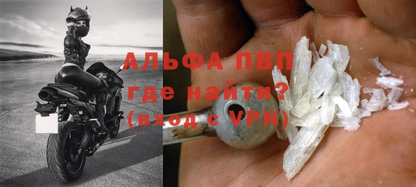 мяу мяу мука Великий Новгород