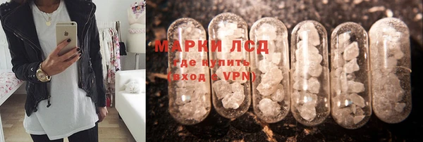 мяу мяу мука Великий Новгород