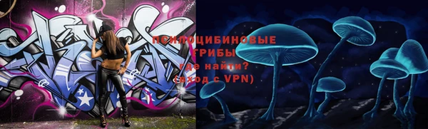 мяу мяу мука Великий Новгород