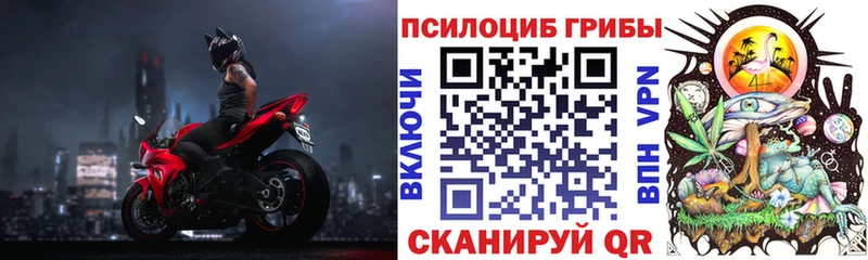 где продают   Ардатов  Галлюциногенные грибы Cubensis 